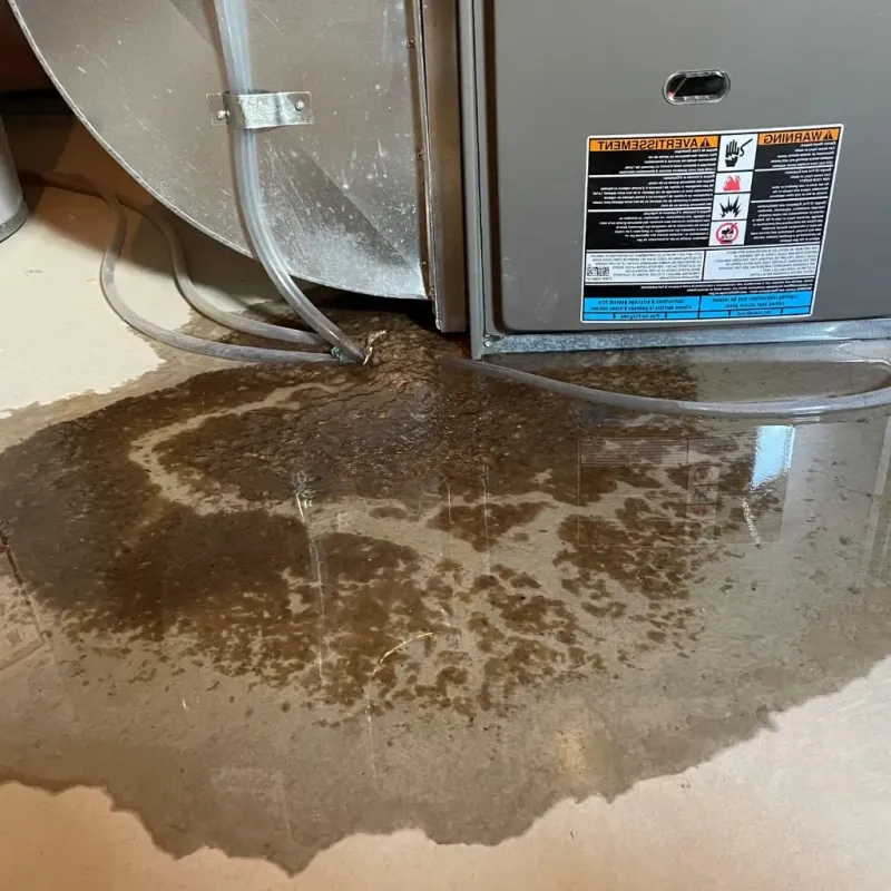 Pipe Burst and Leak Restoration in Willard, UT
