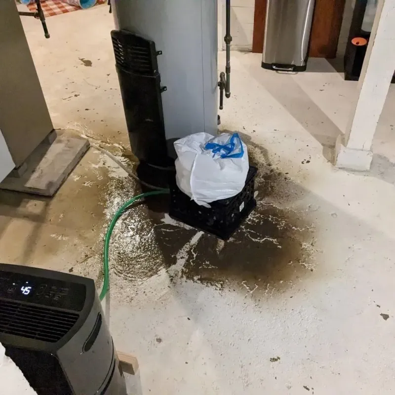 Sewage Backup Cleanup Service in Willard, UT